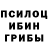 COCAIN Fish Scale Lucius Chistyakov
