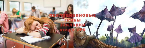 гидра Абаза