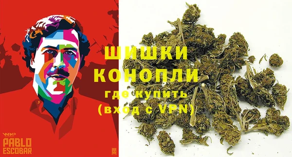 прущие грибы Ростов