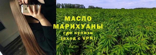 гидра Абаза