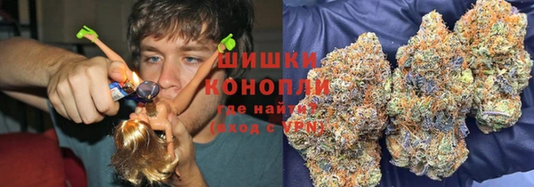 гидра Абаза