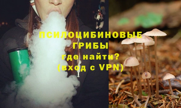 стаф Абдулино