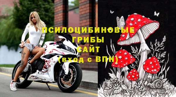 стаф Абдулино