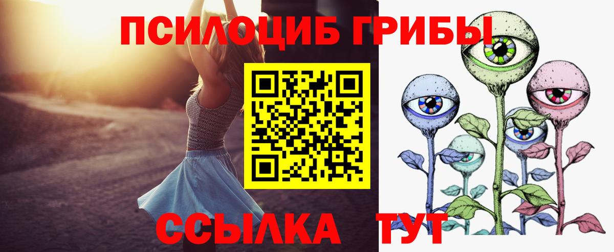 Псилоцибиновые грибы Psilocybe  Вход с VPN  Аксай 